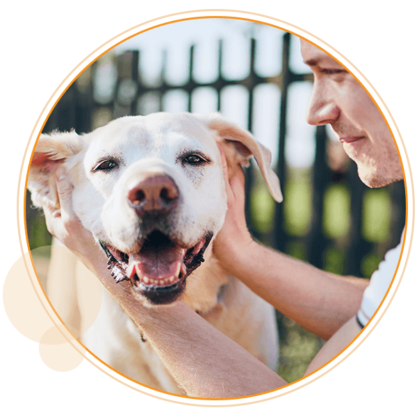 man petting dogs ears